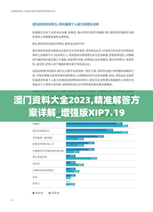 澳门资料大全2023,精准解答方案详解_增强版XIP7.19