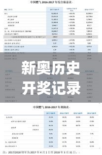 新奥历史开奖记录查询,高效运行支持_持久版LOM7.42