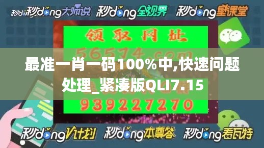 最准一肖一码100%中,快速问题处理_紧凑版QLI7.15