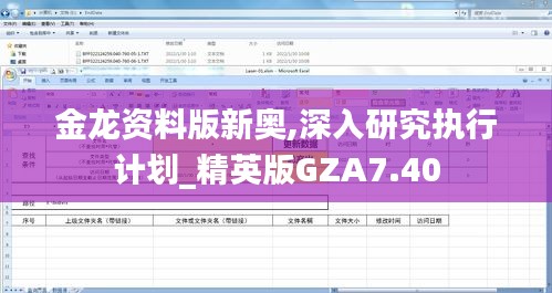 金龙资料版新奥,深入研究执行计划_精英版GZA7.40