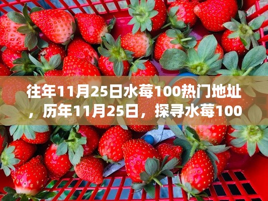 探寻水莓100热门地址背后的故事，历年11月25日的足迹揭秘