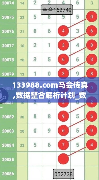 133988.com马会传真,数据整合解析计划_数字处理版QHV7.93