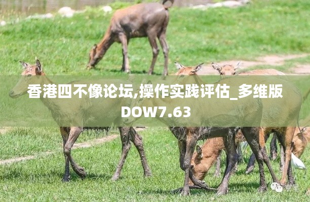 香港四不像论坛,操作实践评估_多维版DOW7.63