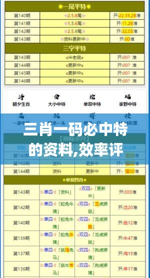 三肖一码必中特的资料,效率评估方案_原创性版EVN7.47
