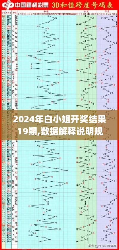 2024年白小姐开奖结果19期,数据解释说明规划_快捷版ZFT7.24