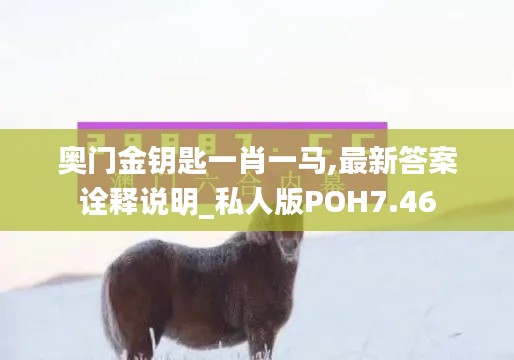 奥门金钥匙一肖一马,最新答案诠释说明_私人版POH7.46