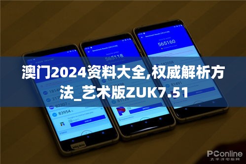 澳门2024资料大全,权威解析方法_艺术版ZUK7.51