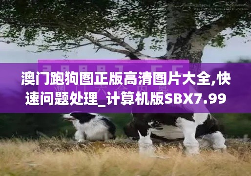 澳门跑狗图正版高清图片大全,快速问题处理_计算机版SBX7.99