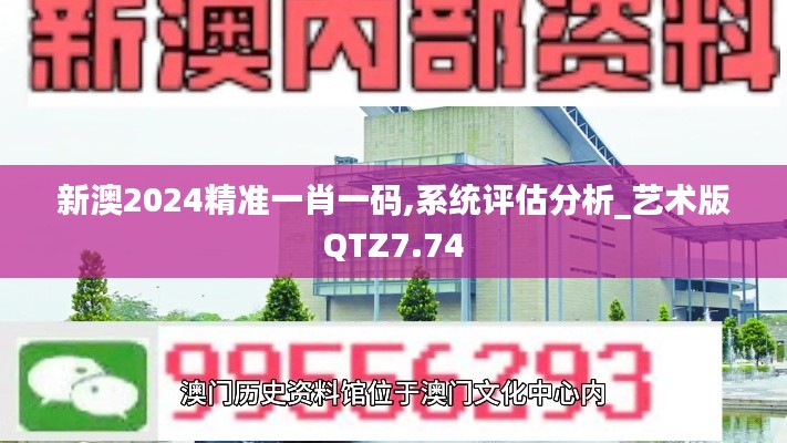 新澳2024精准一肖一码,系统评估分析_艺术版QTZ7.74