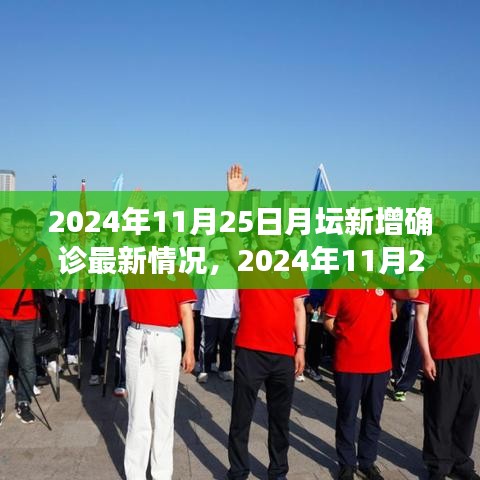 2024年11月25日月坛地区新增确诊病例最新深度分析与情况概述