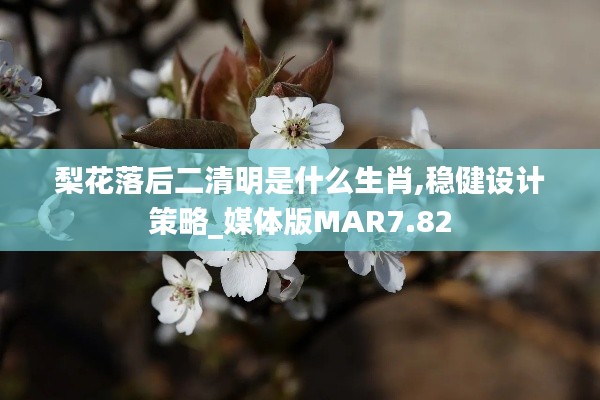 梨花落后二清明是什么生肖,稳健设计策略_媒体版MAR7.82