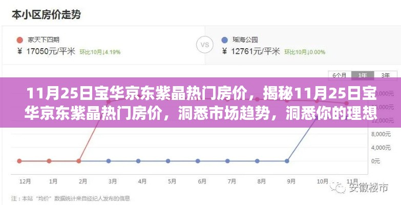 揭秘，11月25日宝华京东紫晶热门房价及市场趋势，探寻理想家园