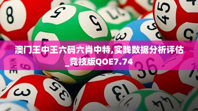 澳门王中王六码六肖中特,实践数据分析评估_竞技版QOE7.74