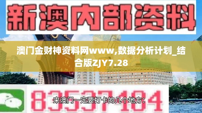 澳门金财神资料网www,数据分析计划_结合版ZJY7.28