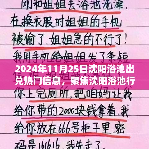 沈阳浴池行业出兑热潮背后的故事，聚焦热门信息，探寻行业变迁