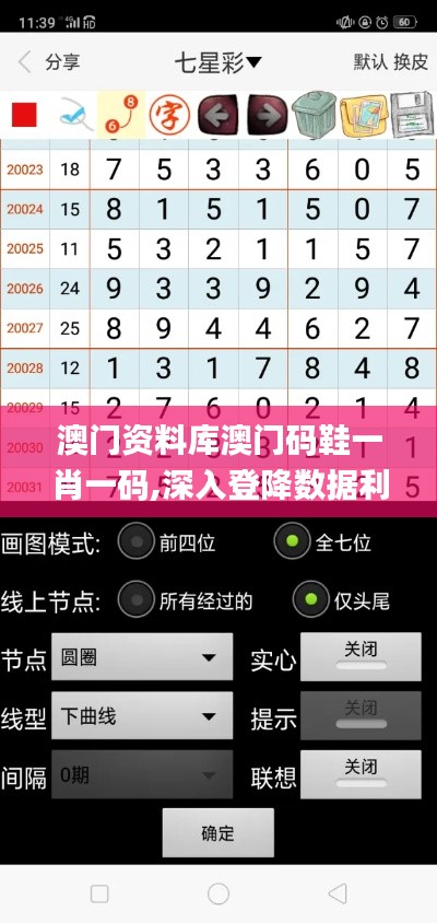 澳门资料库澳门码鞋一肖一码,深入登降数据利用_结合版REW7.55