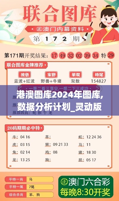 港澳图库2024年图库,数据分析计划_灵动版NGN7.61