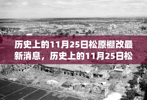 松原棚改最新进展与深度解析，历史上的11月25日焦点回顾