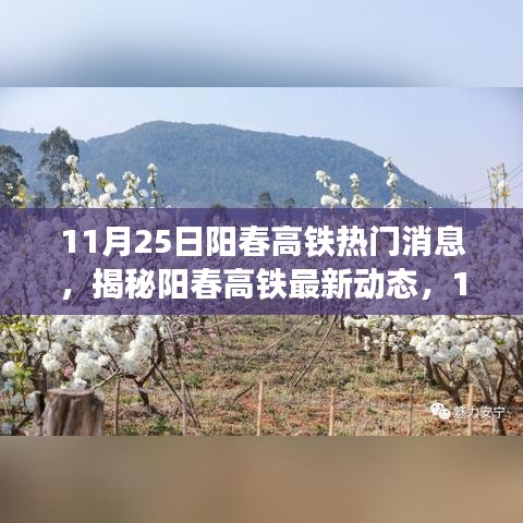 揭秘阳春高铁最新动态，热议焦点一网打尽（11月25日更新）