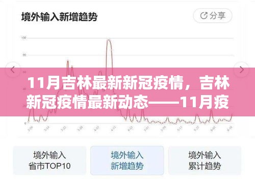 吉林11月新冠疫情最新动态，分析与应对策略