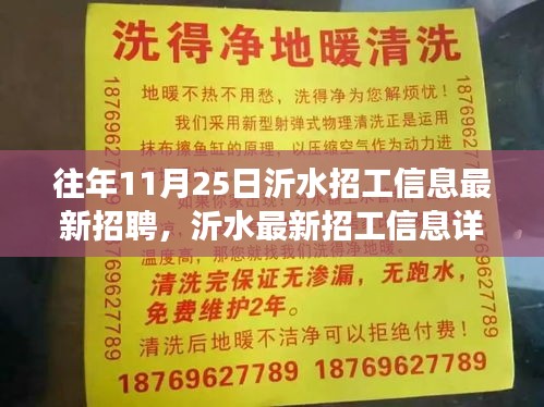 沂水最新招聘信息详解，高效获取招工机会与把握策略