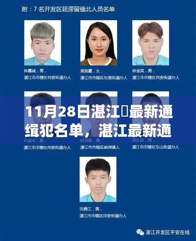 湛江最新通缉犯名单公布，社会反响与个人立场的思考（附名单）