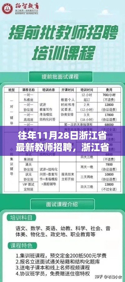 浙江省最新教师招聘应聘全攻略，以历年11月28日为例的招聘解析