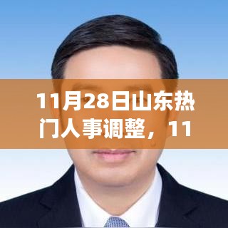 山东人事调整深度解析，最新动态与评测报告（11月28日）