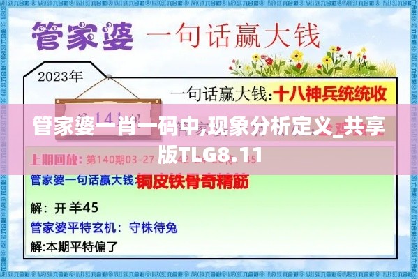 管家婆一肖一码中,现象分析定义_共享版TLG8.11