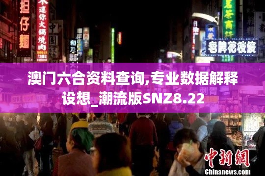 澳门六合资料查询,专业数据解释设想_潮流版SNZ8.22