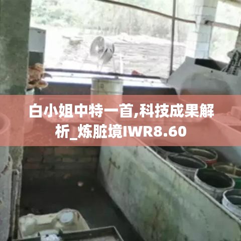 白小姐中特一首,科技成果解析_炼脏境IWR8.60