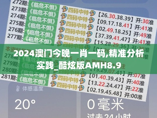 2024澳门今晚一肖一码,精准分析实践_酷炫版AMH8.9