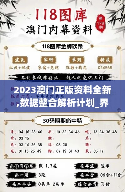 2023澳门正版资料全新,数据整合解析计划_界面版IIS8.48