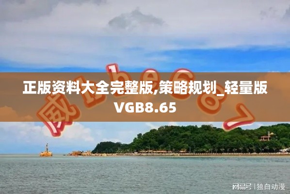 正版资料大全完整版,策略规划_轻量版VGB8.65