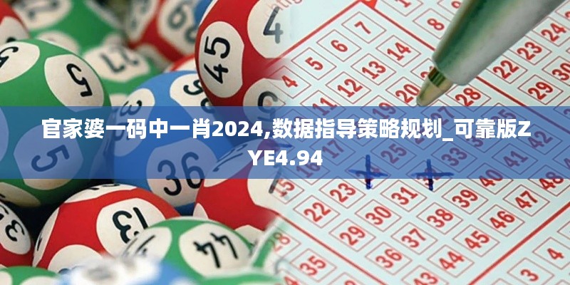 官家婆一码中一肖2024,数据指导策略规划_可靠版ZYE4.94