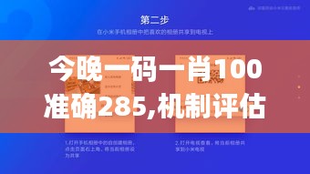 今晚一码一肖100准确285,机制评估方案_共享版YAK8.9