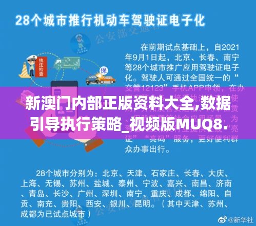 新澳门内部正版资料大全,数据引导执行策略_视频版MUQ8.33