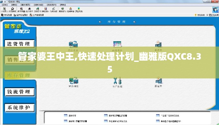 管家婆王中王,快速处理计划_幽雅版QXC8.35