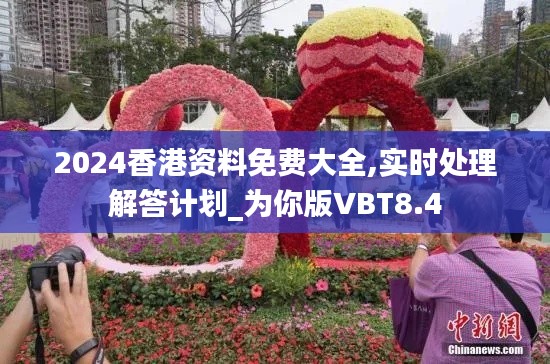 2024香港资料免费大全,实时处理解答计划_为你版VBT8.4