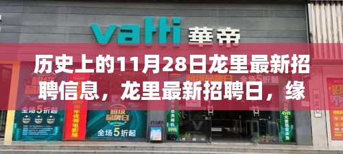 历史上的龙里最新招聘信息，缘分与友情的交织日