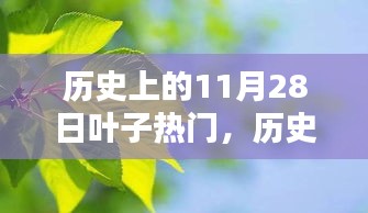 历史上的11月28日叶子热门，技能指南探索与掌握之路