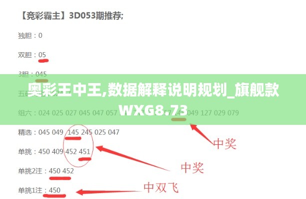 奥彩王中王,数据解释说明规划_旗舰款WXG8.73