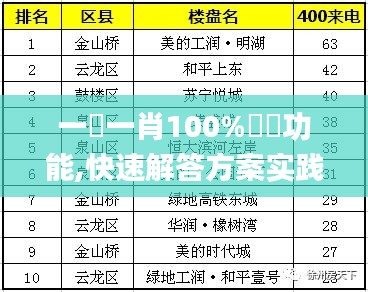 一碼一肖100%準確功能,快速解答方案实践_增强版XOG8.45