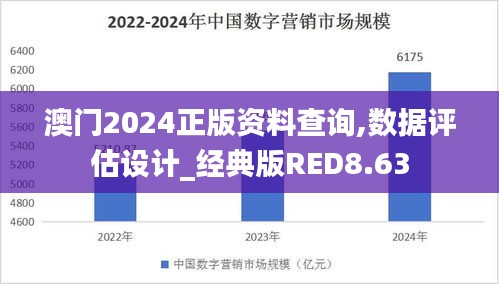 澳门2024正版资料查询,数据评估设计_经典版RED8.63