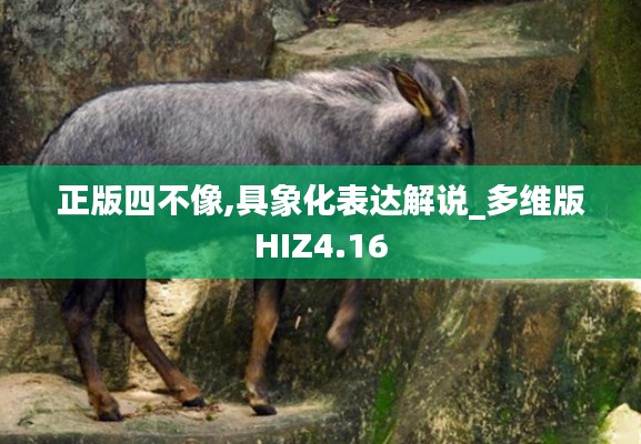 正版四不像,具象化表达解说_多维版HIZ4.16