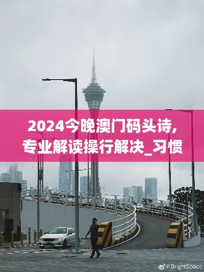 2024今晚澳门码头诗,专业解读操行解决_习惯版EMX8.29