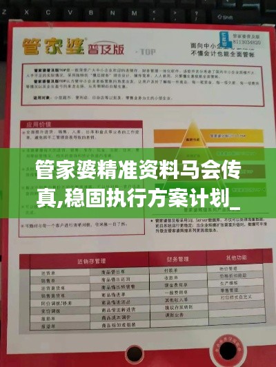 管家婆精准资料马会传真,稳固执行方案计划_探索版JCJ8.99