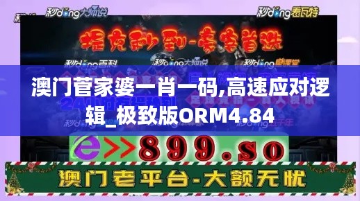 澳门菅家婆一肖一码,高速应对逻辑_极致版ORM4.84