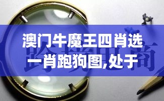 澳门牛魔王四肖选一肖跑狗图,处于迅速响应执行_电商版SJY8.7