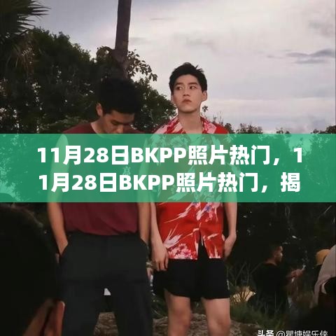 揭秘，11月28日BKPP照片背后的故事与热门热议